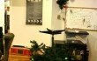 portal-tree