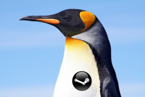 Steamy Penguin is not amused